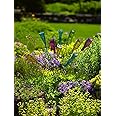 Gardener's Supply Company Classic Glass Bottle Tree Bush | Colorful Garden Decorative Bottle Holder & Outdoor Decor | Sturdy Powder Coated Steel Frame & Holds 12 Glass Bottles - (36" H)