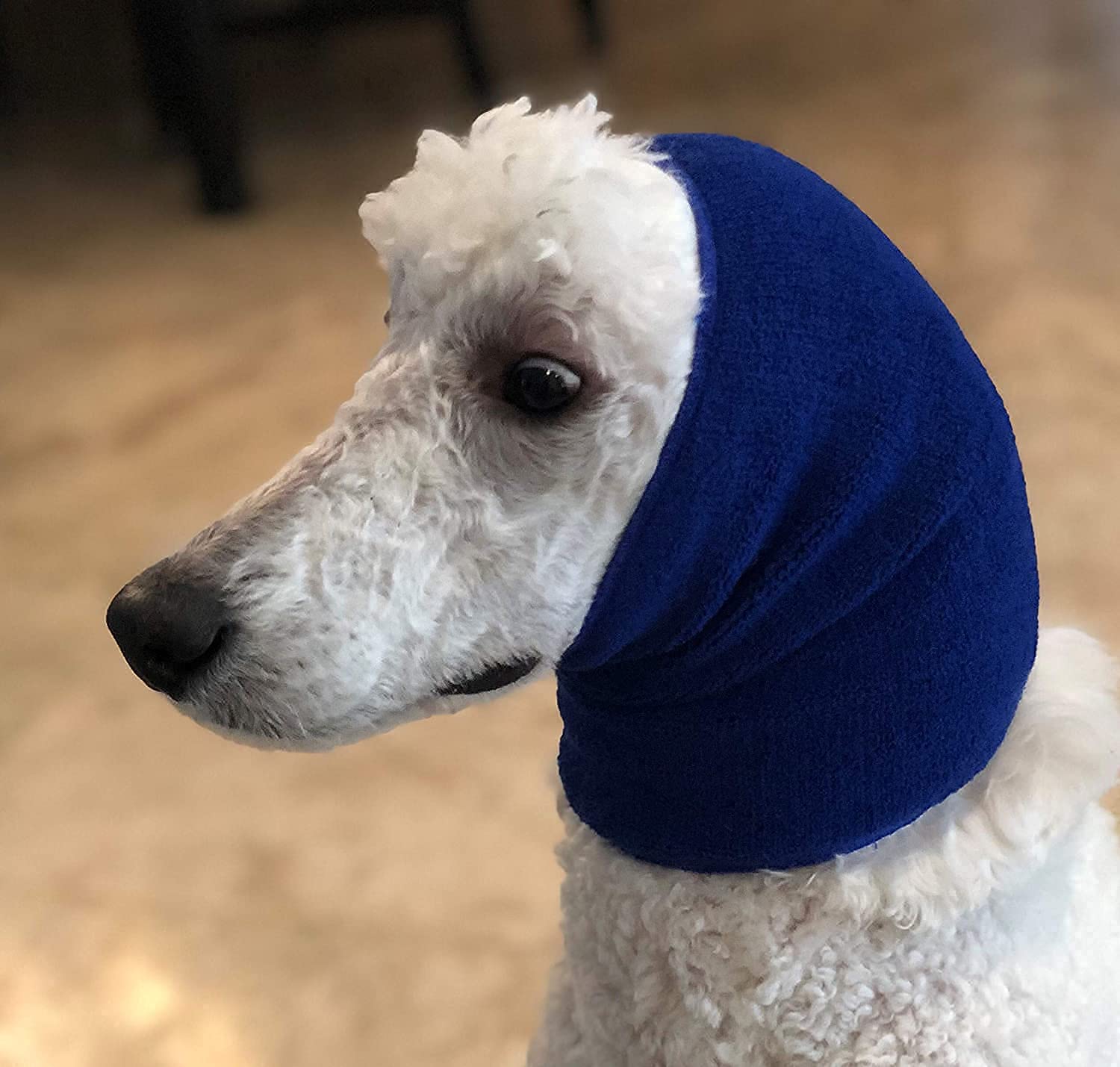 Pet Hoodz for Dogs-Anxiety, Calming Ear Protection and Compression Pet Hoodie, Blue Medium