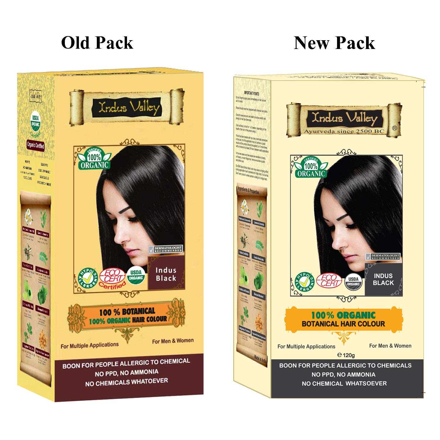 Buy Certified Organic Indus Black Hair Colour Dermatologist Recommended Chemical Free Hair Colour Pack Of 2 Online At Low Prices In India Amazon In