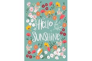 Toland Home Garden 1112560 Hello Sunshine Spring Flag 12x18 Inch Double Sided Spring Garden Flag for Outdoor House Flower Flag Yard Decoration