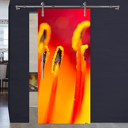 Glasschiebetür Digitaldruck auf Glas 1004-1-V1000-GS - 900 x 2050 x 8