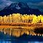 Amazon.com: Yellowstone: Andrew Murray: Amazon Digital