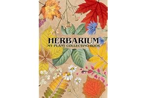 My Herbarium: The Plant Collection Book for Kids and Adults - Large A4 Format - Enough Space for 50 Plants