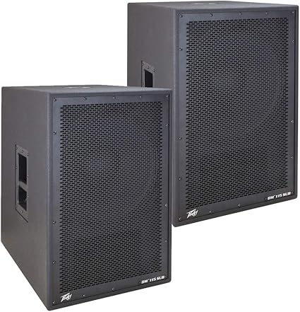 peavey dm 115
