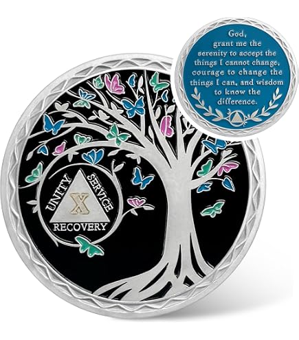 Pièce de sobriété AA pour anniversaire de sobriété, médaille de récupération, jeton de récupération NA OA, grand défi, cadeau de sobriété pour homme Pièce de sobriété AA pour anniversaire de sobriété, médaille de récupération, jeton de récupération NA OA, grand défi, cadeau de sobriété pour homme