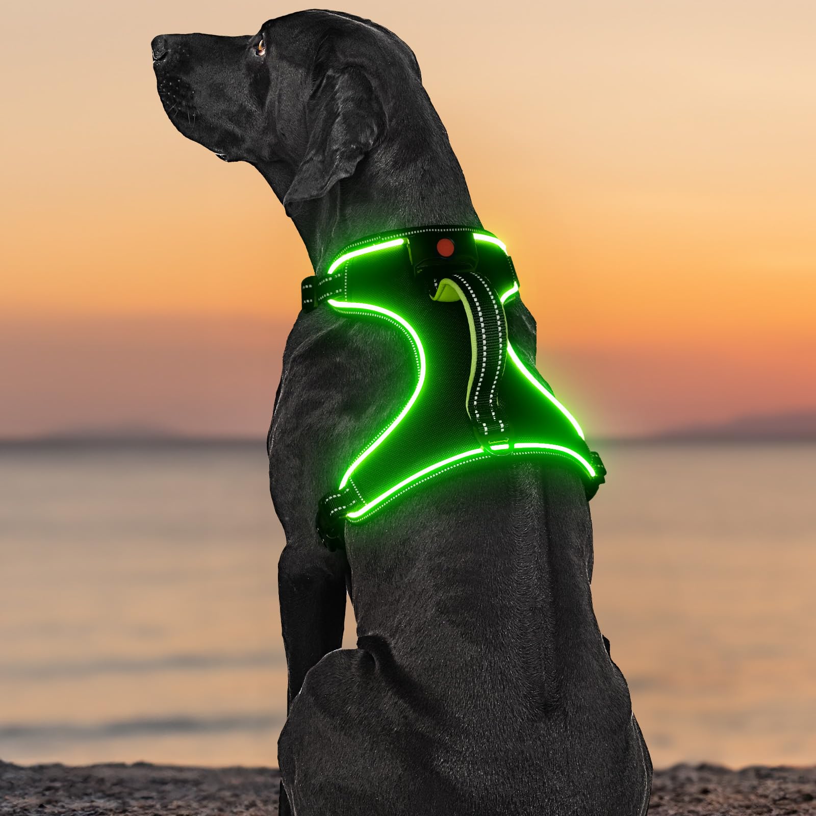 YIAZIM Light Up Dog Harness No Pull With Handle - Rechargeable LED Reflective Comfortable 4 Point Adjustable Lighted Vest for Small Medium Large X-Large Dogs — image 1