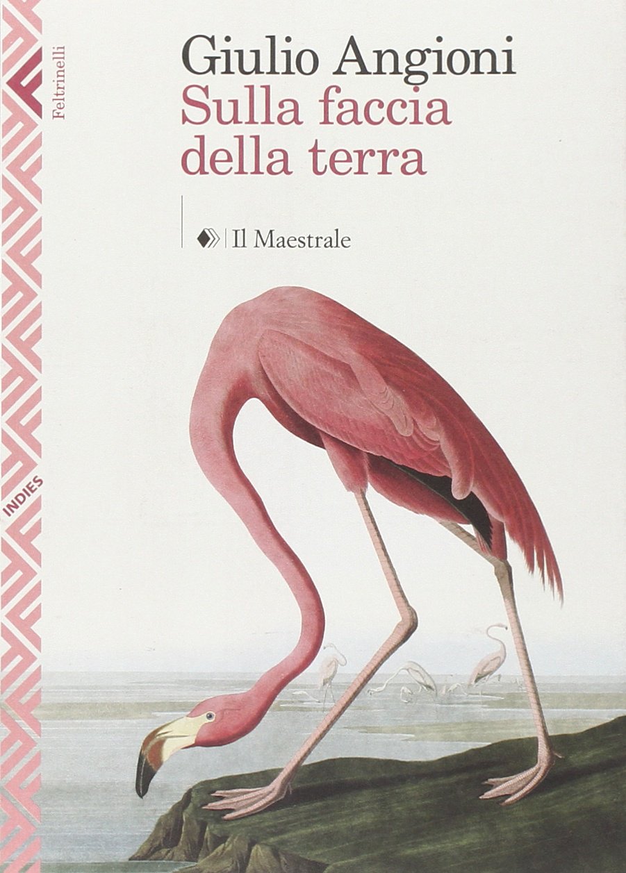 Amazon It Sulla Faccia Della Terra Angioni Giulio Libri