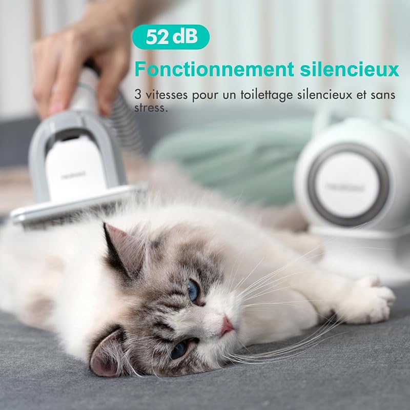 P1 Pro Brosse Chat, Brosse Chien, Tondeuse professionnelle pour chats et chiens, Aspirateur de poils 13000 Pa, Silencieuse 52 dB, 5 Outils de toilettage pour poils courts, longs et épais