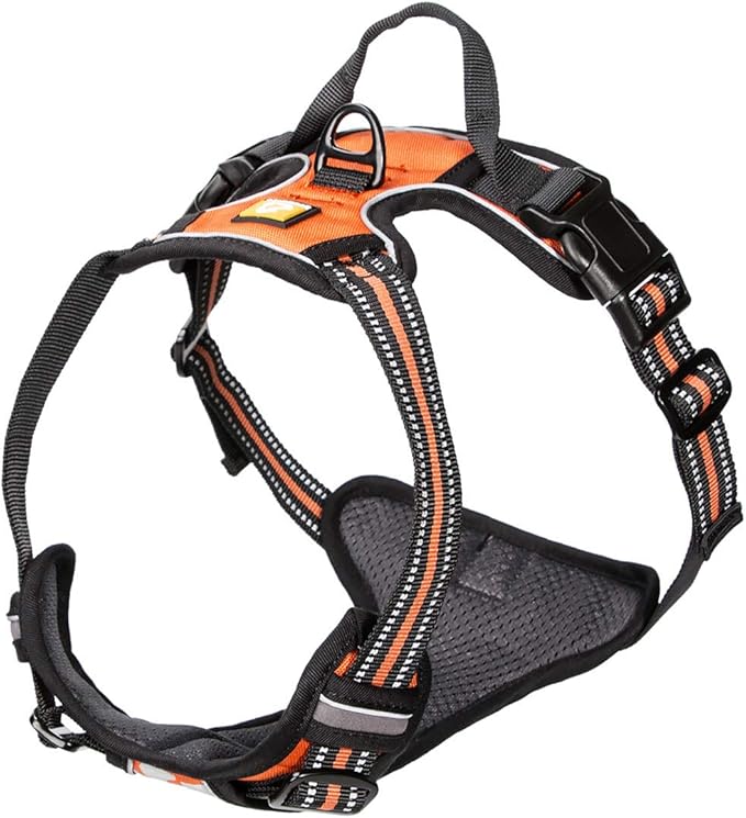 Best Harnesses For Huskies Reviews & Buying Guide