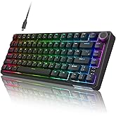 RK ROYAL KLUDGE R75 Wired Mechanical Gaming Keyboard, 75% Hot-Swap Mechanical Keyboard Volume Knob, Soft Pre-lubed Tactile Br