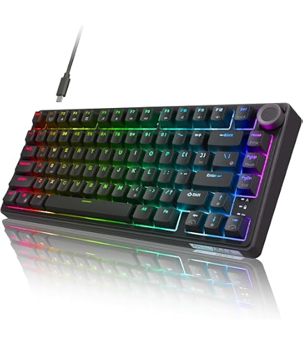 Amazon.com: RK ROYAL KLUDGE X87 Mechanical Keyboard 75% Wired