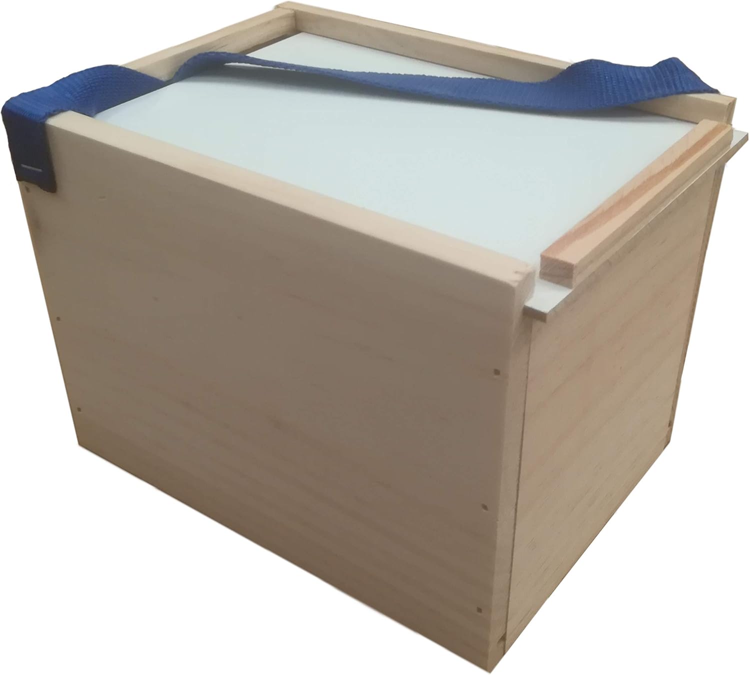 CAJA PARA PETARDOS. Tamaño GRANDE. TAPA CIEGA. SIN SERIGRAFÍA: Amazon.es: Juguetes y juegos