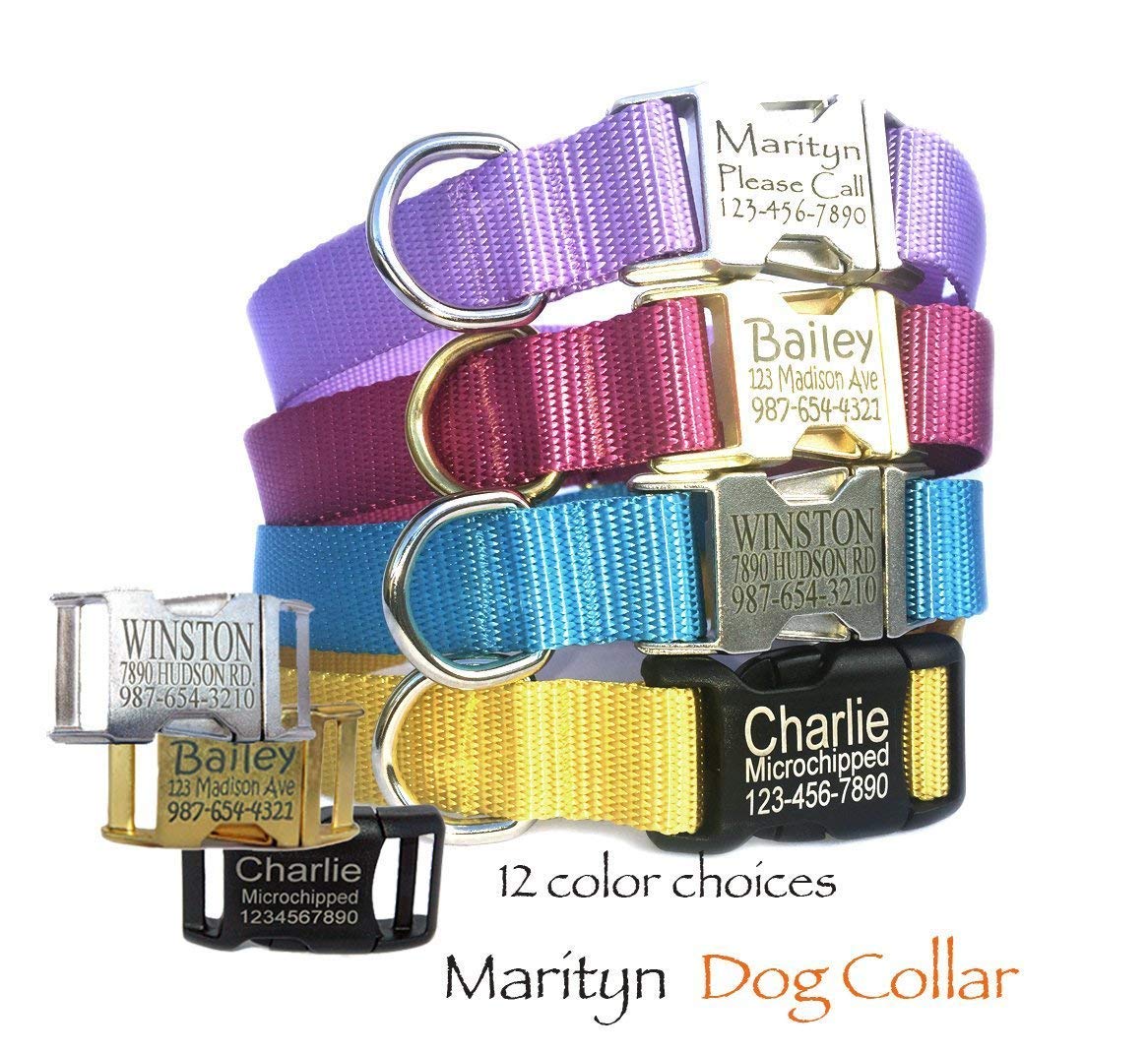 dog collar personalized buckle