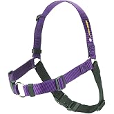 Sense-ation No-Pull Dog Harness - 1" Medium/Large