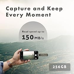 LinkMore 256GB, 2in1 OTG Flash Drive for Android