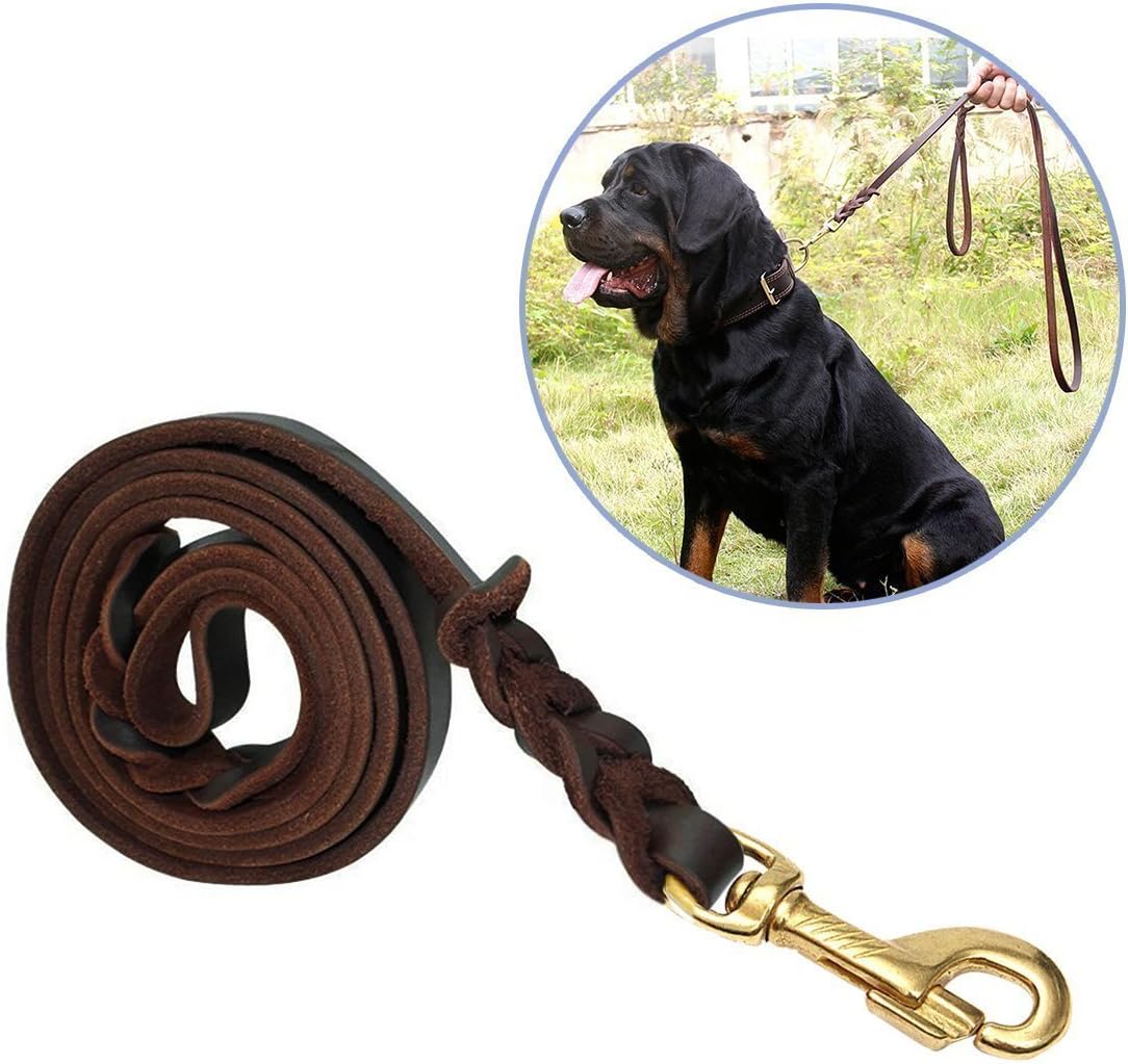2 metre dog lead