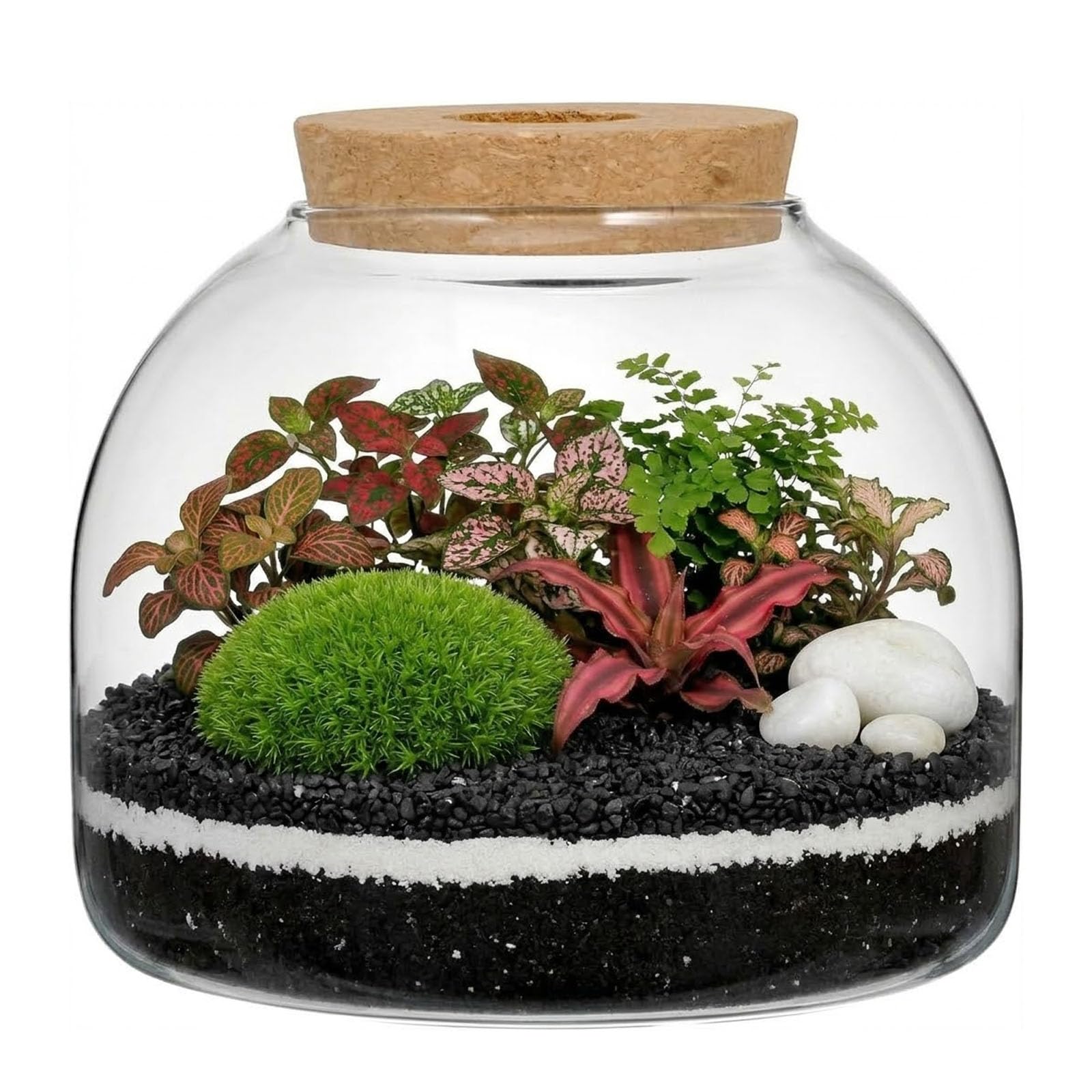 ULTECHNOVO Glass Terrarium, Succulent Plant House, Desktop Candy Jar, Landscape Terrarium for Plants, Office Home Garden Decoration