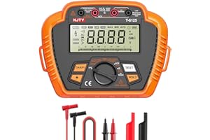 NJTY T6125 Digital Insulation Resistance Tester, 2500V Megohmmeter, 0.01MΩ–200GΩ, AC Voltage (10V-600V), Low Resistance (0.01Ω-60Ω), Data Hold, Over-Range Alarm, Auto Shutdown, Backlit LCD