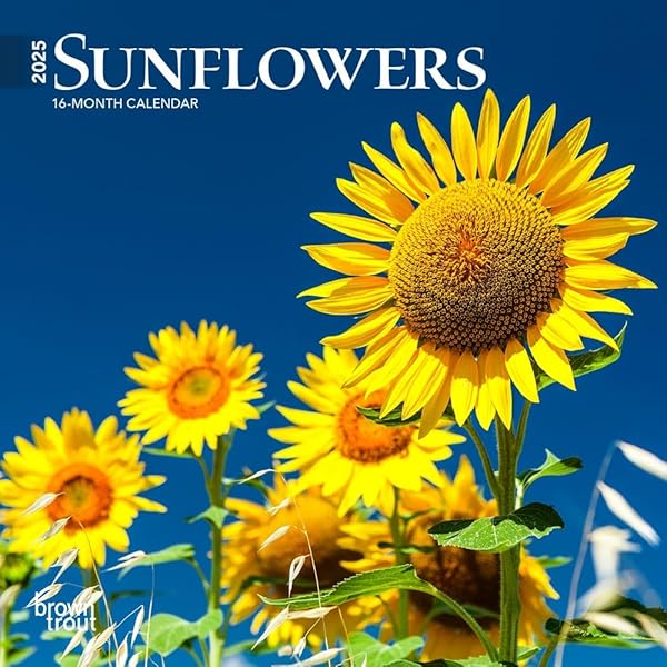 Sunflower ページ Amazon.com: Gorgeous Sunflower Calendar 2023: Beautiful