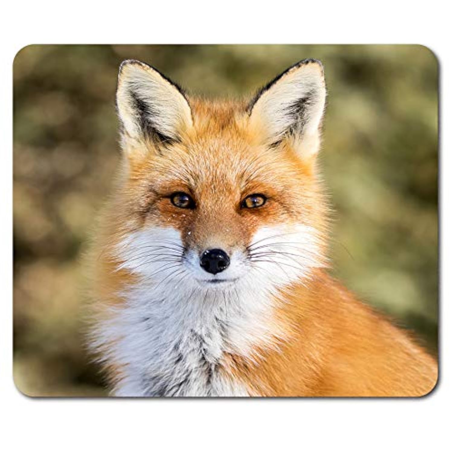 Destination Vinyl Ltd Beautiful Ginger Fox Mouse Mat Pad - Wild Animal Cub Mum PC Computer #8323