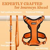 rabbitgoo Cat Harness and Lead Set XS Orange Reflective Adjustable Escape Proof view 7