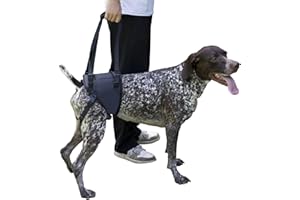 ZDBFU Dog Lift Harness, Dog Sling for Large Dogs Hind Leg Support, Adjustable Soft Padded Rehab Harness for Weak Rear Legs for Elderly Injured Arthritic Dogs Disabled