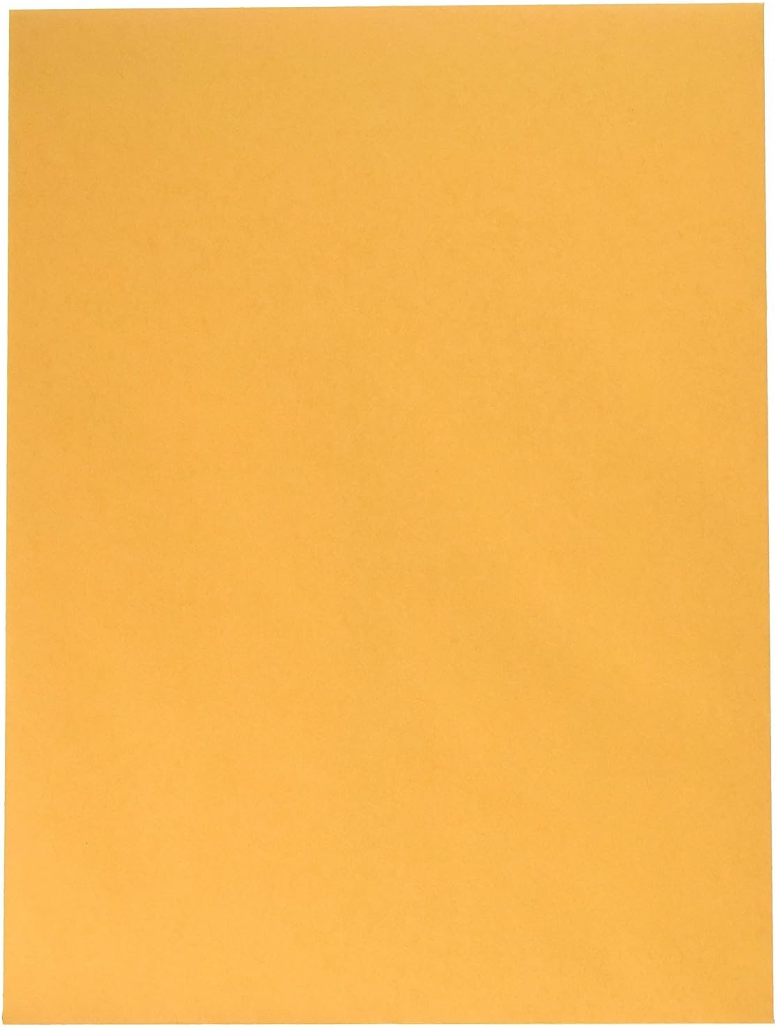 100 9 X 12 Self Seal Golden Brown Kraft Catalog Envelopes - Designed for Secure Mailing - Oversize Strong Peel and Seal Flap with 28 Pound Kraft Paper- 100 Envelopes : Office Products
