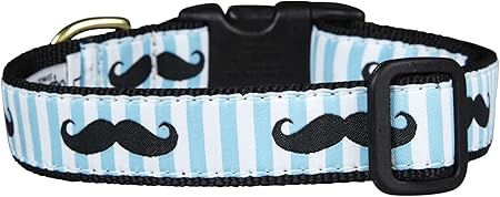 mustache dog collar