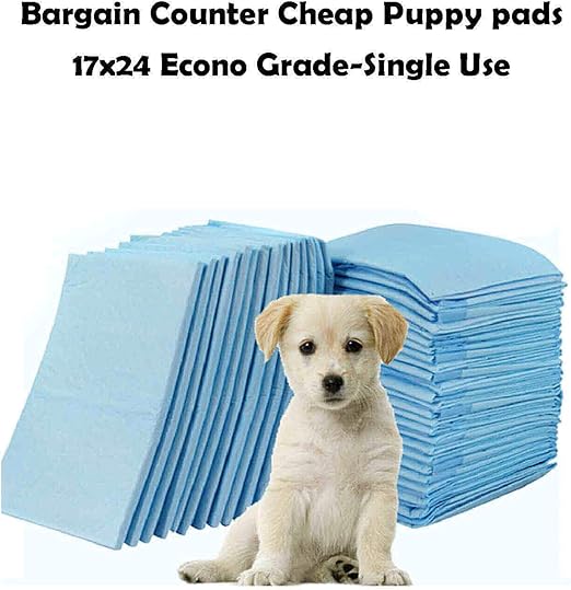 where can i get a cheap dog