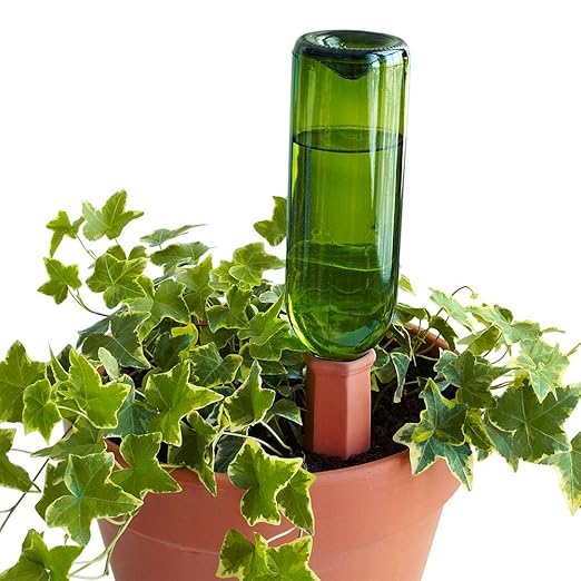 GO botella juego – 4 juegos de 4 piezas planta Waterer picos ...