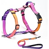 Roses&Poetry Dog Harness with Leash, No Pull Adjustable Harness Leash, Reflective Dog Halter Harnesses Comfort Padded Handle, Pet Walking Harness for Medium Dogs(Mistyrose-M)