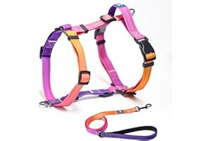 Roses&Poetry Dog Harness for Large Dogs, No-Pull Dog Harness and Leash Set Adjustable Reflective, Dog Vest Harnesses Comfort Padded Handle, Pet Harness for Training Outdoor Walking（Mistyrose-L