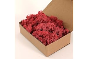 Dallisten Moss Preserved, Craft Reindeer Green Decorative Moss for Enchanted Forest Decorations, Fairy Garden, Party, Art Wall, Indoor Potted Plants,Table, Terrariums, Bonsai Decor (Red,3.6OZ)