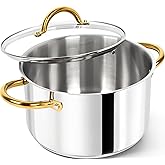 MICHELANGELO Stainless Steel Pots - 6 Qt Induction Pot with Lid, 18/10 Stainless Steel Stock Pot, Non Toxic Cooking Pot, Oven & Dishwasher Safe