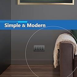 LIDER Brushed Finish Decorator Switch