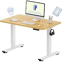 Amazon.com: FLEXISPOT EN1 One Piece Standing Desk, 40 x 24