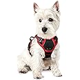rabbitgoo Dog Harness No Pull with 2 Leash Clips, Adjustable Soft Padded, Reflective Oxford No Choke Pet Vest with Easy Control Handle for Puppy, Black & Red, XS