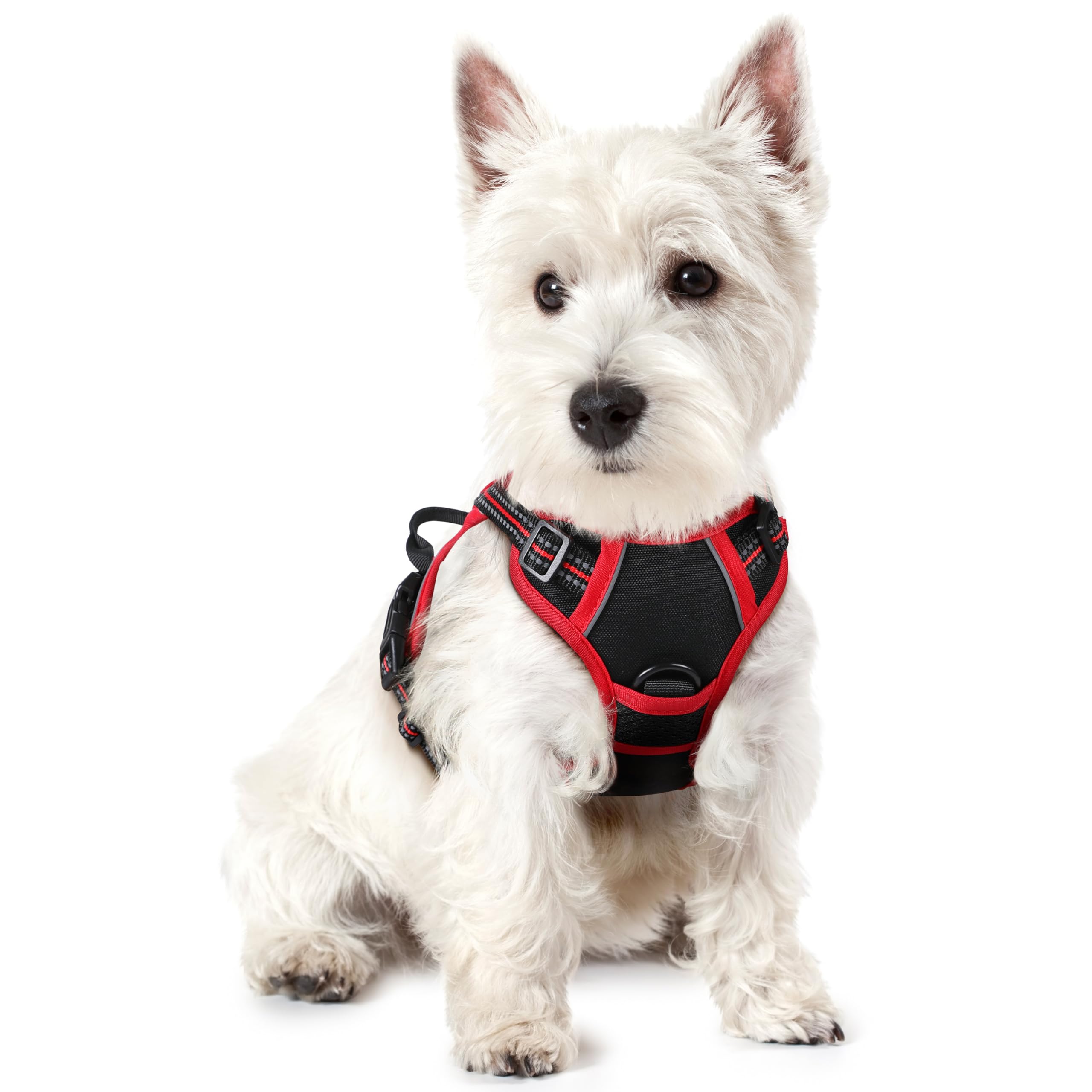 Photo 1 of rabbitgoo Dog Harness No Pull with 2 Leash Clips, Adjustable Soft Padded, Reflective Oxford No Choke Pet Vest with Easy Control Handle for Puppy, Black & Red, XS
