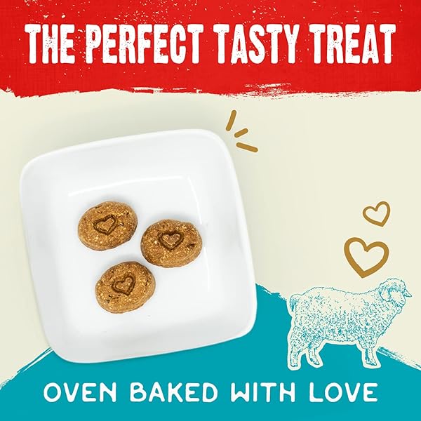 STELLA & CHEWY’S FREEZE-DRIED RAW COATED DOG BISCUITS – GRASS-FED LAMB RECIPE – PROTEIN RICH, GRAIN FREE DOG & PUPPY TREAT – GREAT SNACK FOR TRAINING & REWARDING – 9 OZ BAG
