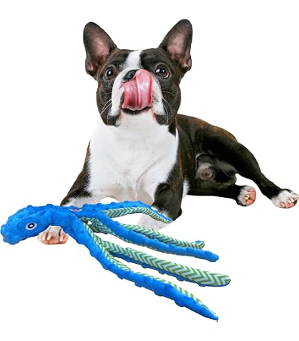 best wet cat food weruva BFF Canned Cat Tuna & Shrimp Sweethearts 3 oz