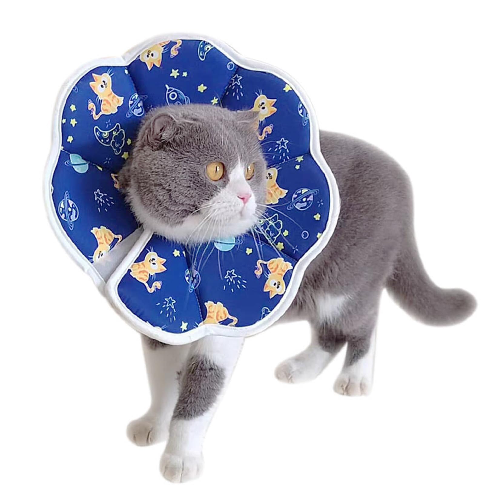 Photo 1 of BAMY Cat Recovery Collars Waterproof Pet Cone Stop Licking After Surgery Kitten Elizabethan Collar for Cats Small Dogs (Blue, XS (Neck Circumference 4.3"-5.5"))