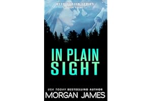 In Plain Sight (Retribution Series Book 8)