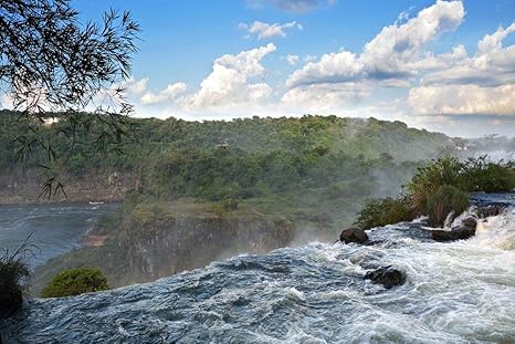 Amazon Co Jp アルゼンチンのイグアスの滝の壁紙 自然の壁紙 キャンバス ステッカー 印刷 壁紙ポスター はがせるシール式 写真 特大 絵画 壁飾り75cmx50cm ホーム キッチン