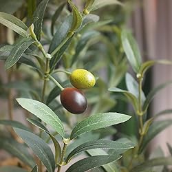 Bellacat Faux Olive Tree 6ft，Olive Trees