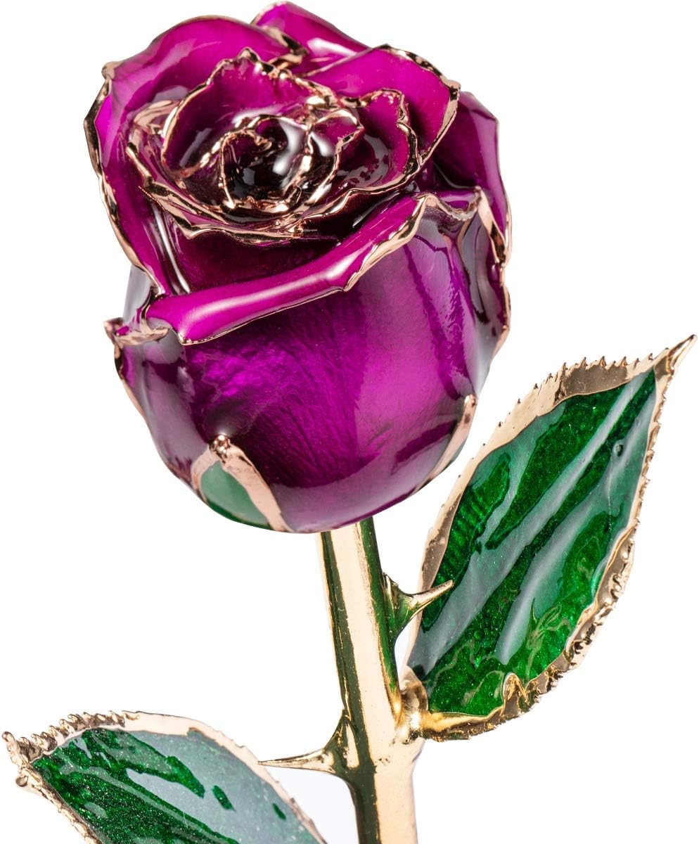 DEFAITH 24K Gold Dipped Rose Purple, Forever Romantic Gifts for Her