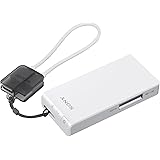 Sony Portable Wireless Server (WGC10/N)