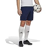 adidas Mens Entrada 22 Training ShortsShorts