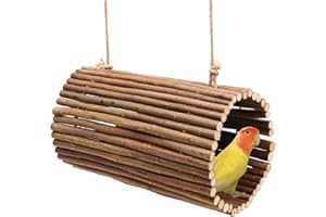 OOOCT Bird Parrot Swing Toys, Hanging Bird Perch Stand, Natural Willow Wood Parrot Hammock, Bird Cage Accessories, Suitable for Little Bird Parakeets Cockatiels Lovebirds Hamster Rat (6.3" in Diameter)
