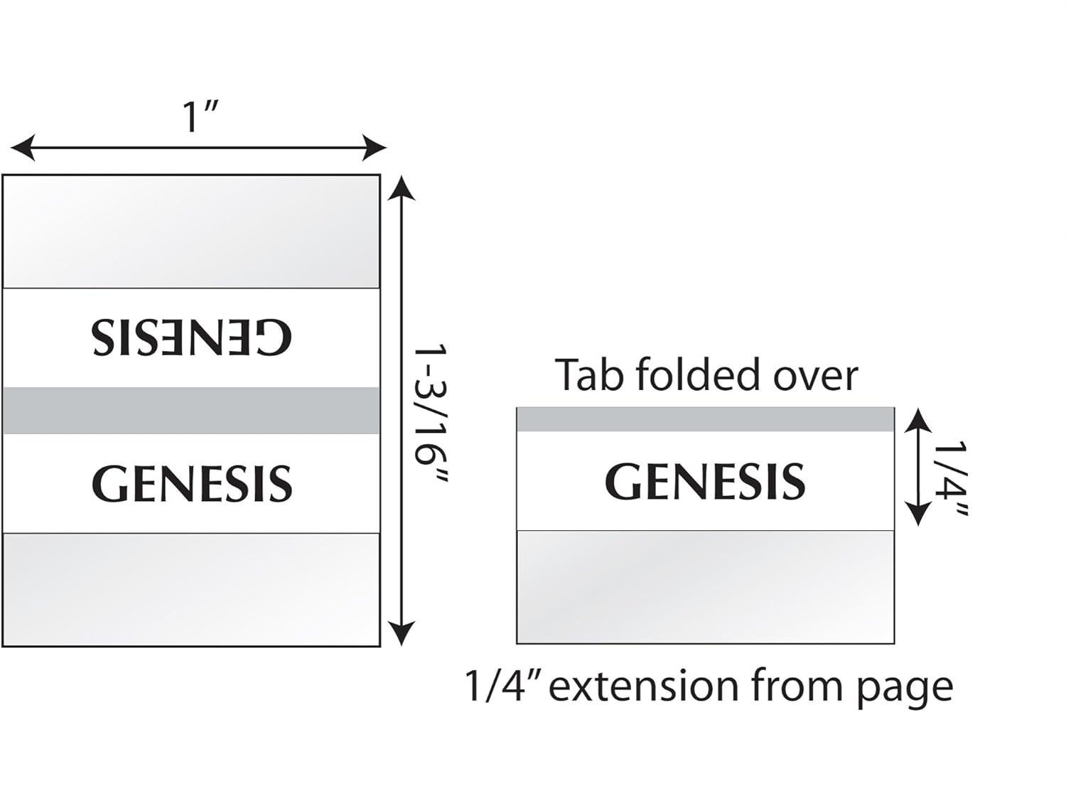 Tabbies Silver-Edged Bible Indexing Tabs, Old & New Testament, 80 Tabs Including 64 Books & 16 Reference Tabs (58339), Silver-Edge (80 Tabs) : Office Products