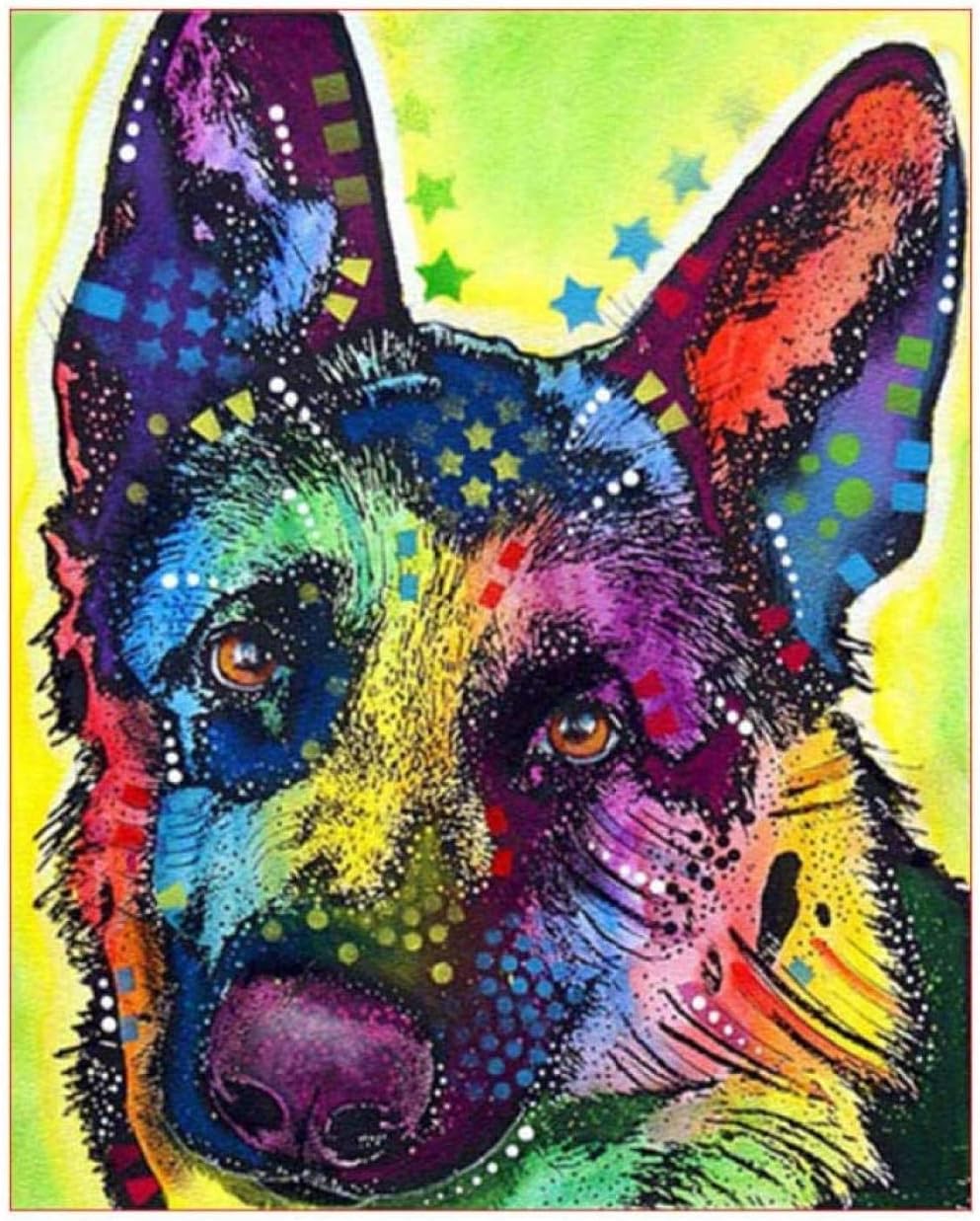 Boutiquespace DIY Leinwand Malen Nach Zahlen